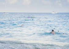 Swim
